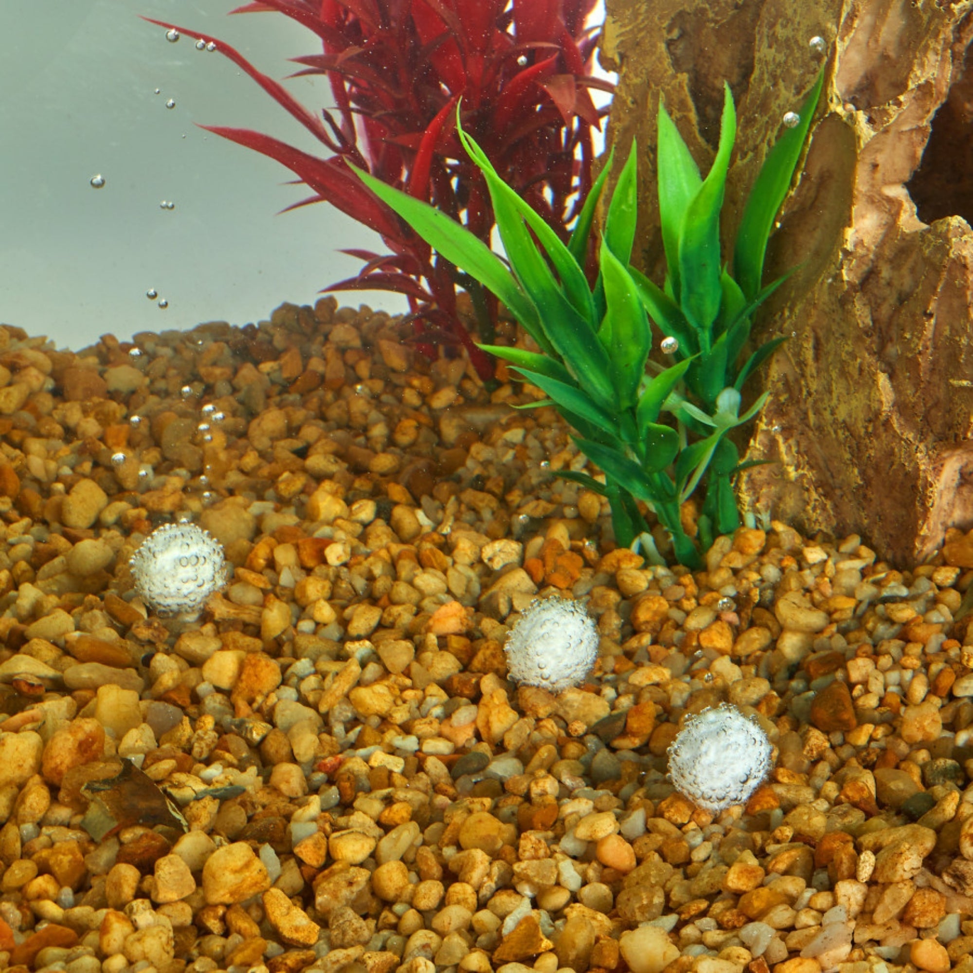 Aqueon AquaPacs Ammonia Reducer 6ea/12pk