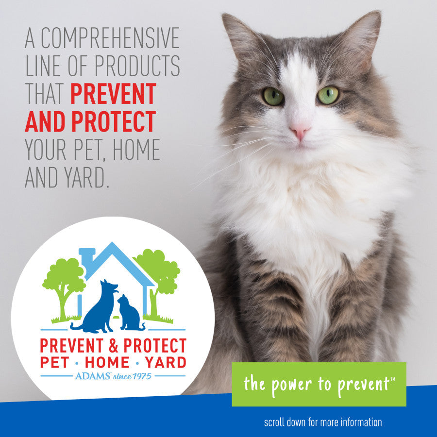 Adams Flea  Tick Carpet  Home Spray 1ea/16 oz