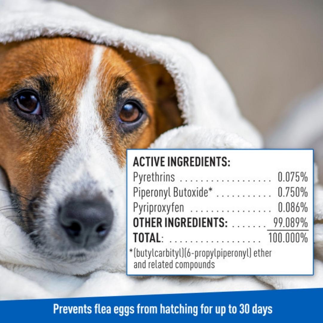 Adams Flea  Tick Cleansing Shampoo Clear, 1ea/12 oz