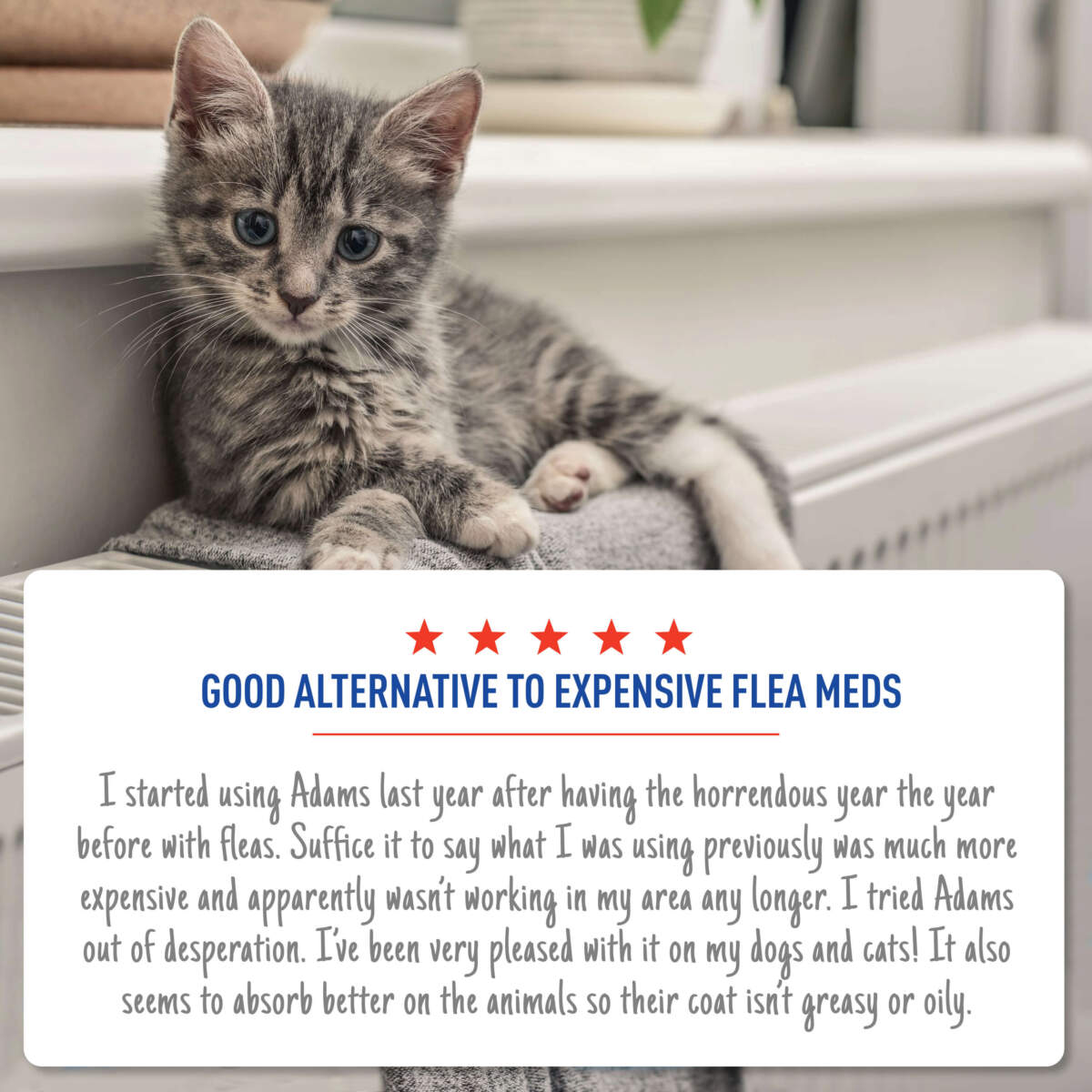 Adams Plus Flea & Tick Spot On for Cats & Kittens 1ea/Over 2.5 Lbs But Under 5 lb