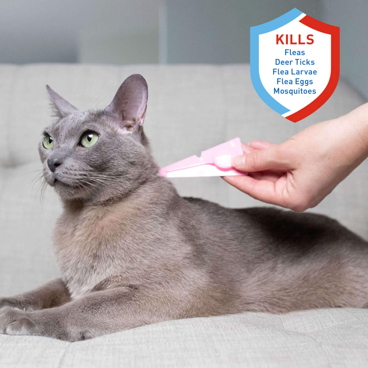 Adams Plus Flea  Tick Spot On for Cats 1ea/Over 5 lb