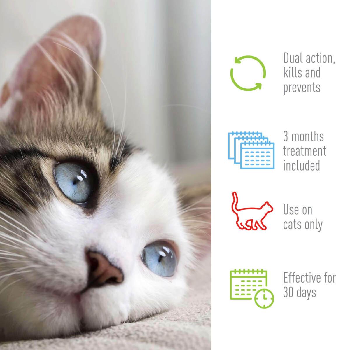 Adams Plus Flea  Tick Spot On for Cats 1ea/Over 5 lb