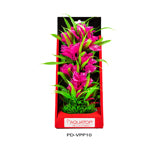 Aquatop Vibrant Passion Plant Pink 10in